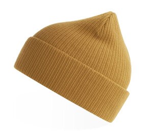 ATLANTIS HEADWEAR AT230 - Organic cotton beanie